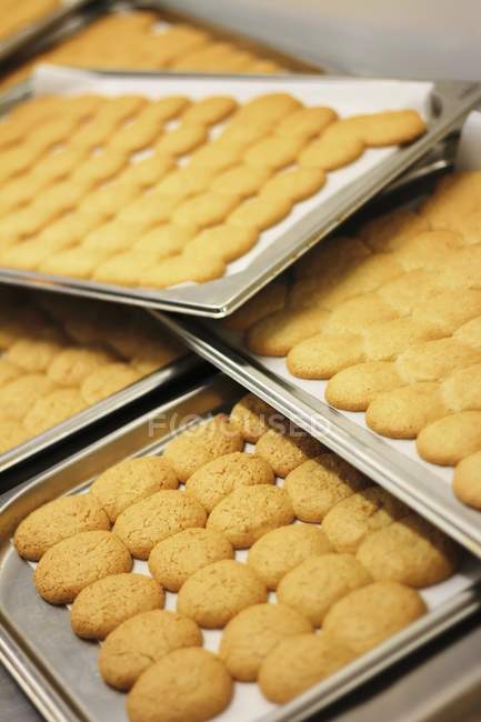 Vue rapprochée des biscuits Amaretti fraîchement cuits sur des plateaux de cuisson — Photo de stock