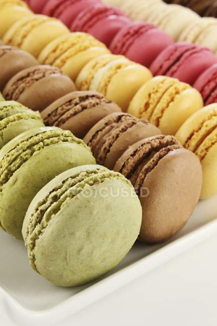 Rows of colorful macarons — Stock Photo