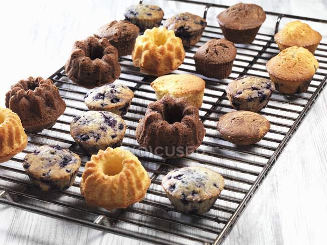 Muffins variados e pequenos bolos Bundt — Fotografia de Stock