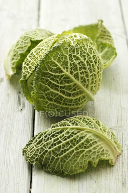 Head of fresh savoy cabbage — Stock Photo