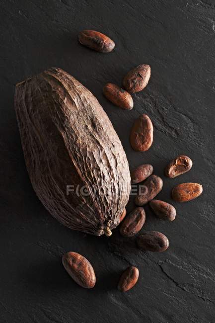 Vaina de cacao y granos de cacao - foto de stock