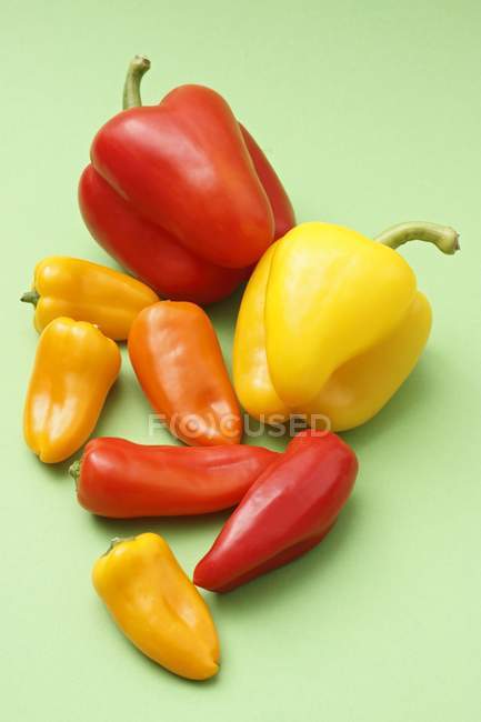 Fresh colorful peppers — Stock Photo