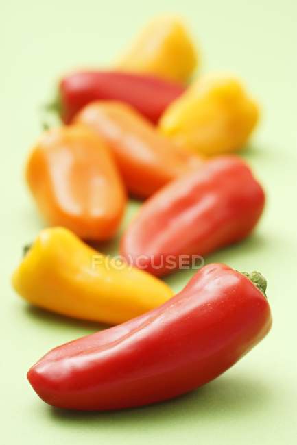 Fresh Colorful peppers — Stock Photo