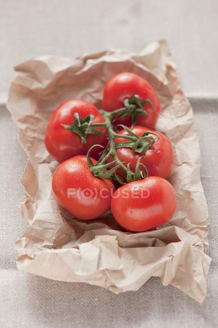 Fresh organic tomatoes — Stock Photo