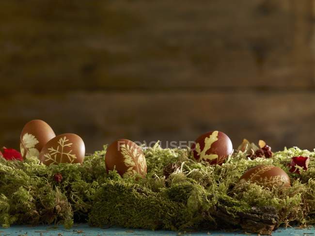 Крупный план окрашенных пасхальных яиц на покрытой мхом поверхности — стоковое фото