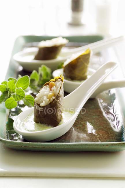 Stuffed grape leaves with rice — Stock Photo