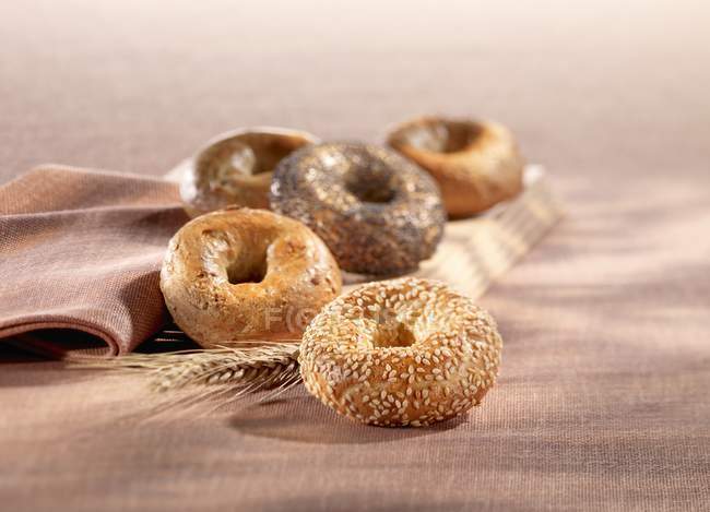 Assorted homemade bagels — Stock Photo