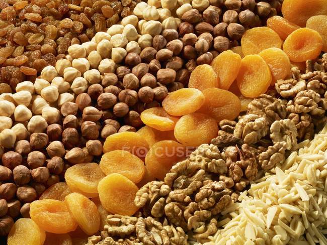 Крупним планом подання Асорті горіхів і сухофруктів у рядках — стокове фото