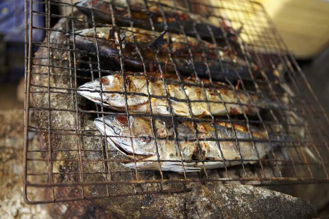 Smoked and grilled fish — Stock Photo