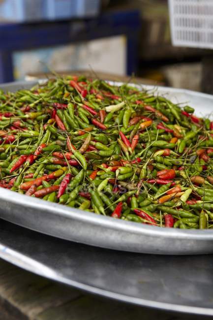 Red and green Chili peppers — Stock Photo