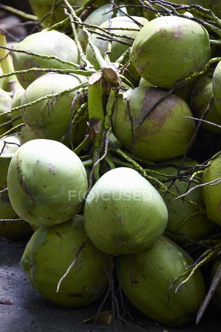 Cocos verdes frescos - foto de stock