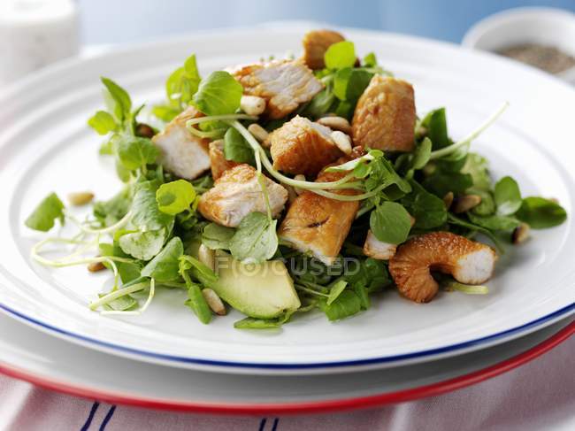 Chicken teriyaki and avocado salad on white plate — Stock Photo
