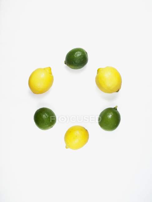 Cerchio di lime e limoni — Foto stock
