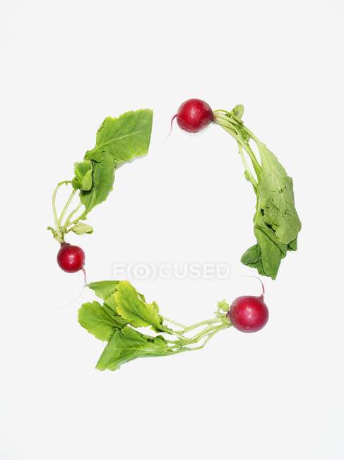 Circle of fresh radishes with leaves — Stock Photo