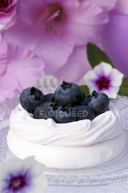 Meringue nest filled with blueberries — Stock Photo