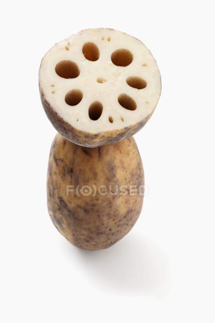 Lotus roots, whole and halved on white background — Stock Photo
