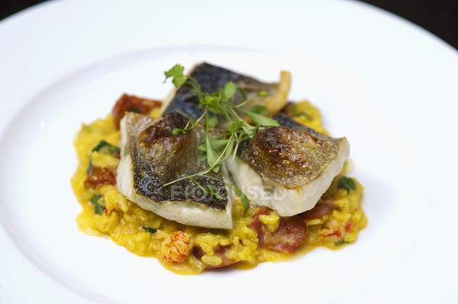 Bass with prawns and saffron rice — Stock Photo