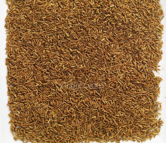 Vista superior de fondo de semillas de alcaravea - foto de stock