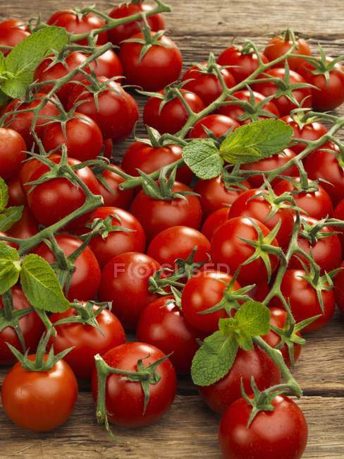 Vine tomatoes with sprigs of mint — Stock Photo