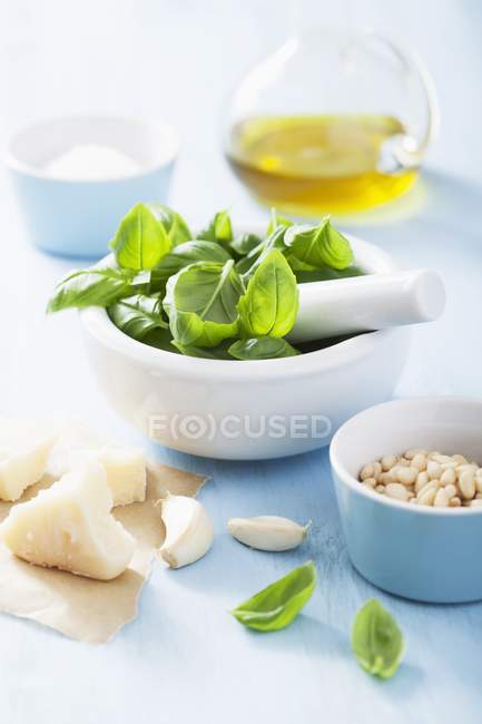 Fresh green basil in mortar — Stock Photo