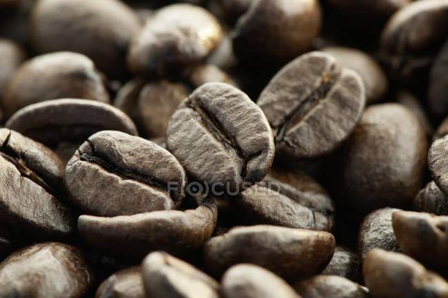 Closeup view of dry coffee beans heap — Stock Photo