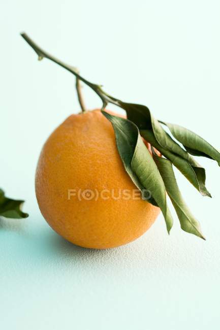 Fresh orange with leaves — Stock Photo