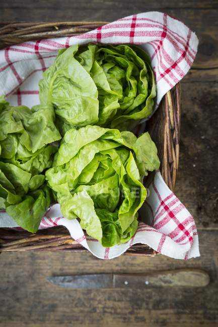 Fresh Lettuces on tea towel in basket — Stock Photo
