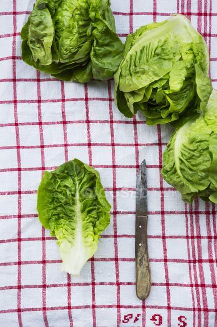 Fresh Lettuce on tea towel — Stock Photo