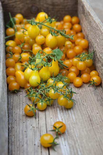 Tomates amarelos em caixa de madeira — Fotografia de Stock
