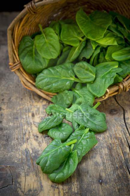 Organic baby spinach in basket — Stock Photo