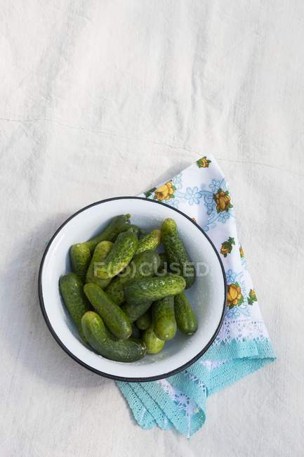 Small pickling cucumbers — Stock Photo