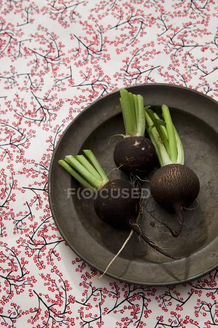 Black winter radishes — Stock Photo