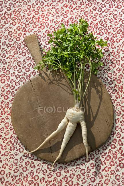 Petersilienwurzeln mit Gemüse — Stockfoto