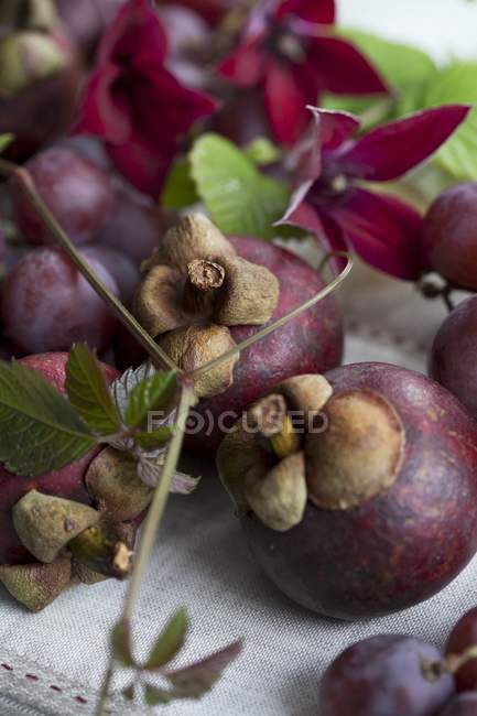 Fresh picked Mangosteens — Stock Photo