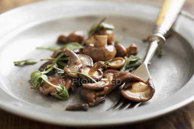 Closeup view of mushrooms with butter and sage — Stock Photo