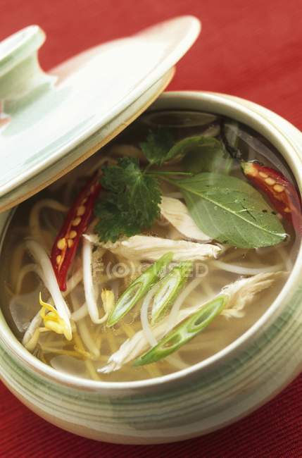 Chicken soup with noodles — Stock Photo