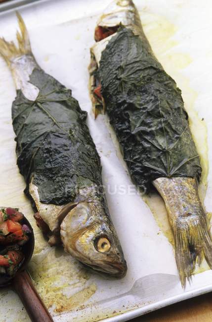 Trout wrapped in vine leaves — Stock Photo