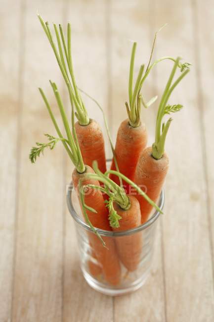 Fresh carrots with stalks in glass — Stock Photo