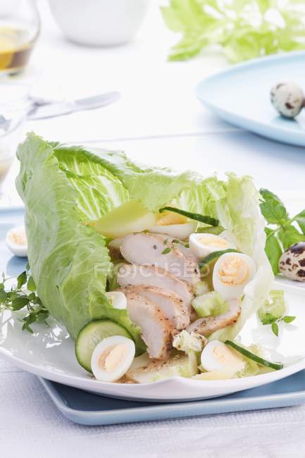 Insalata di pollo con uova di quaglia e cetriolo in una lattuga in foglia — Foto stock