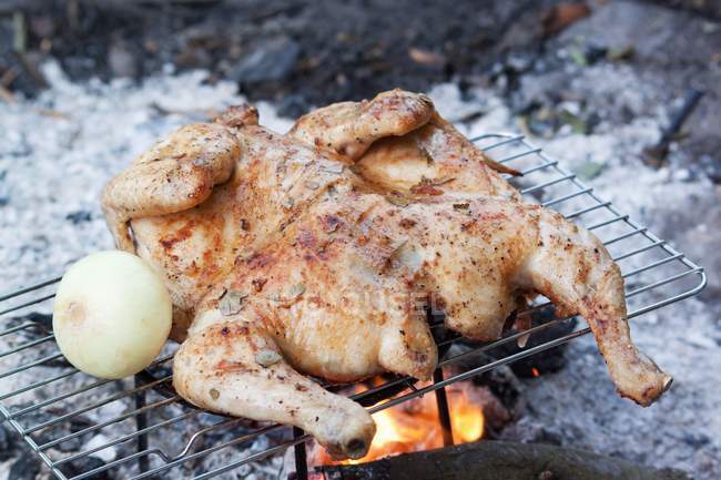 Chicken cooking on barbecue rack — Stock Photo