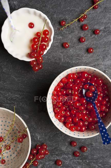 Bowls of redcurrants and yogurt — Stock Photo