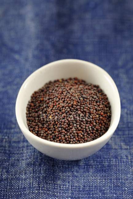 Black mustard seeds in bowl — Stock Photo