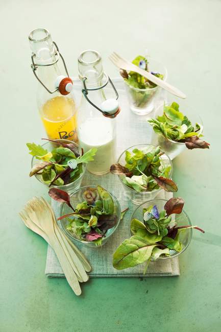 Mixed leaf salads with vinaigrette and yogurt dressing — Stock Photo