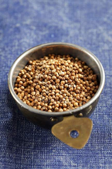 Ciotola di semi di coriandolo — Foto stock