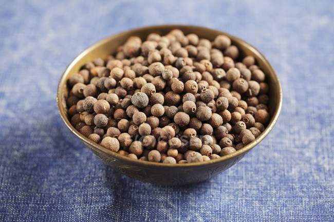 Closeup view of allspice seeds in a bowl — Stock Photo