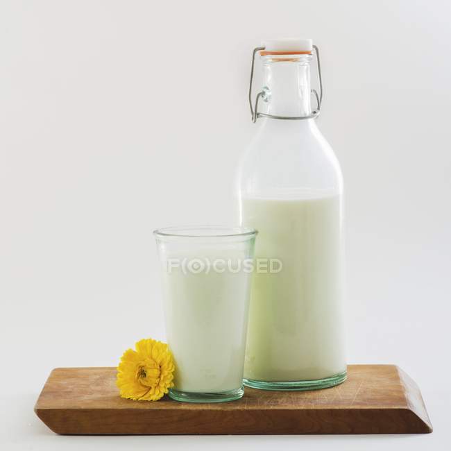 Leite orgânico em garrafa e em vidro — Fotografia de Stock