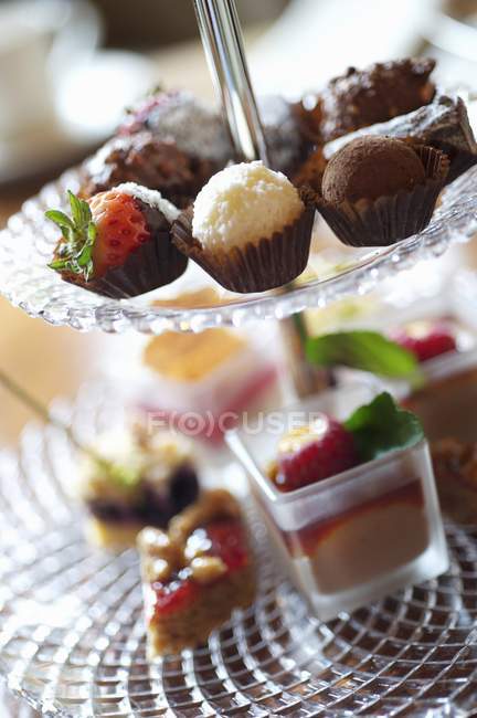 Assorted filled chocolates and miniature cakes — Stock Photo