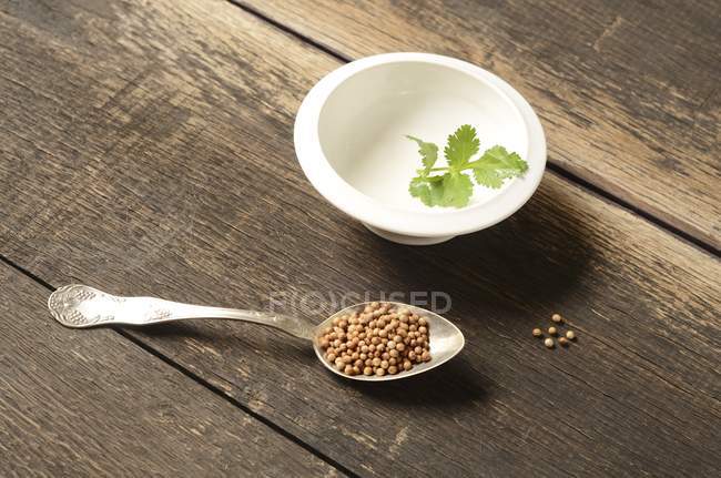 Cucchiaio di semi di coriandolo — Foto stock