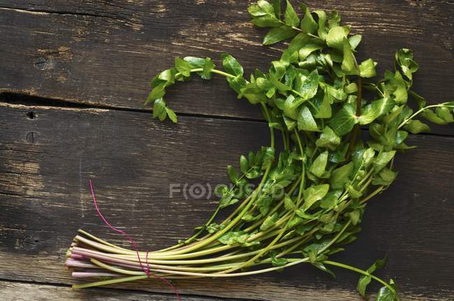 Closeup view of fresh Dropwort on a wooden surface — Stock Photo