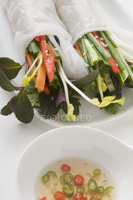 Rolos de papel de arroz cheios de legumes — Fotografia de Stock